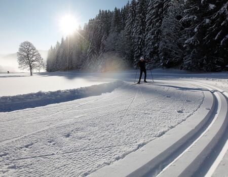Langlaufen in der Ramsau